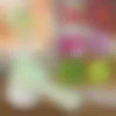 4-в-1 ръчен електрически чопър | ROTOCHOP