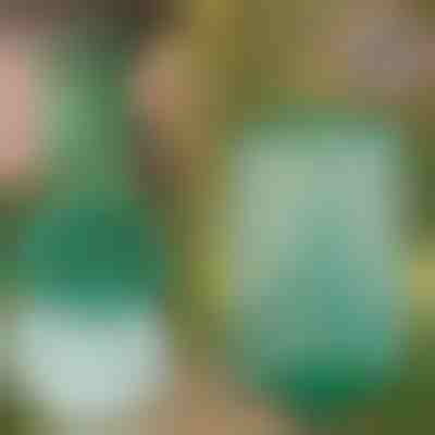 Висящ Капан за Мухи и Насекоми за Многократна Употреба | INSECTA