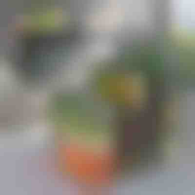 Кутия за организиране на хладилника | FRESHDISH