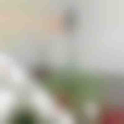 Регулируем стабилизиращ прът за връх на елха | STABLESTAR