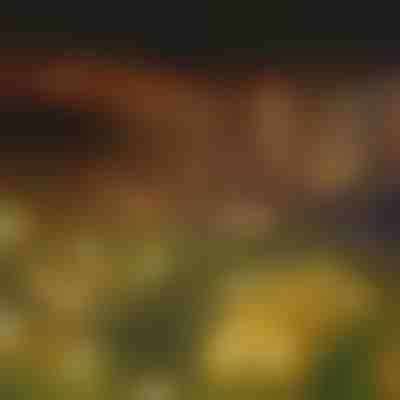 Соларен светещ гирлянд с 6 LED крушки | SOMPEX